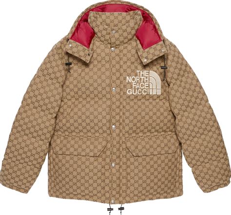 the north face x gucci jacke preis